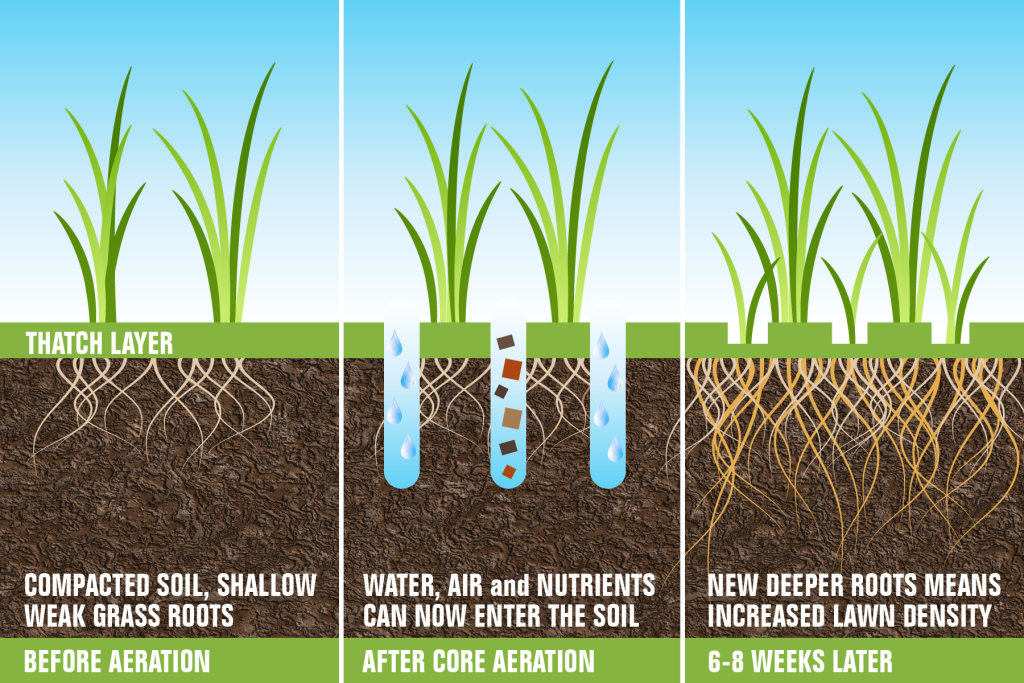 Aeration Process and Benefits Diagram