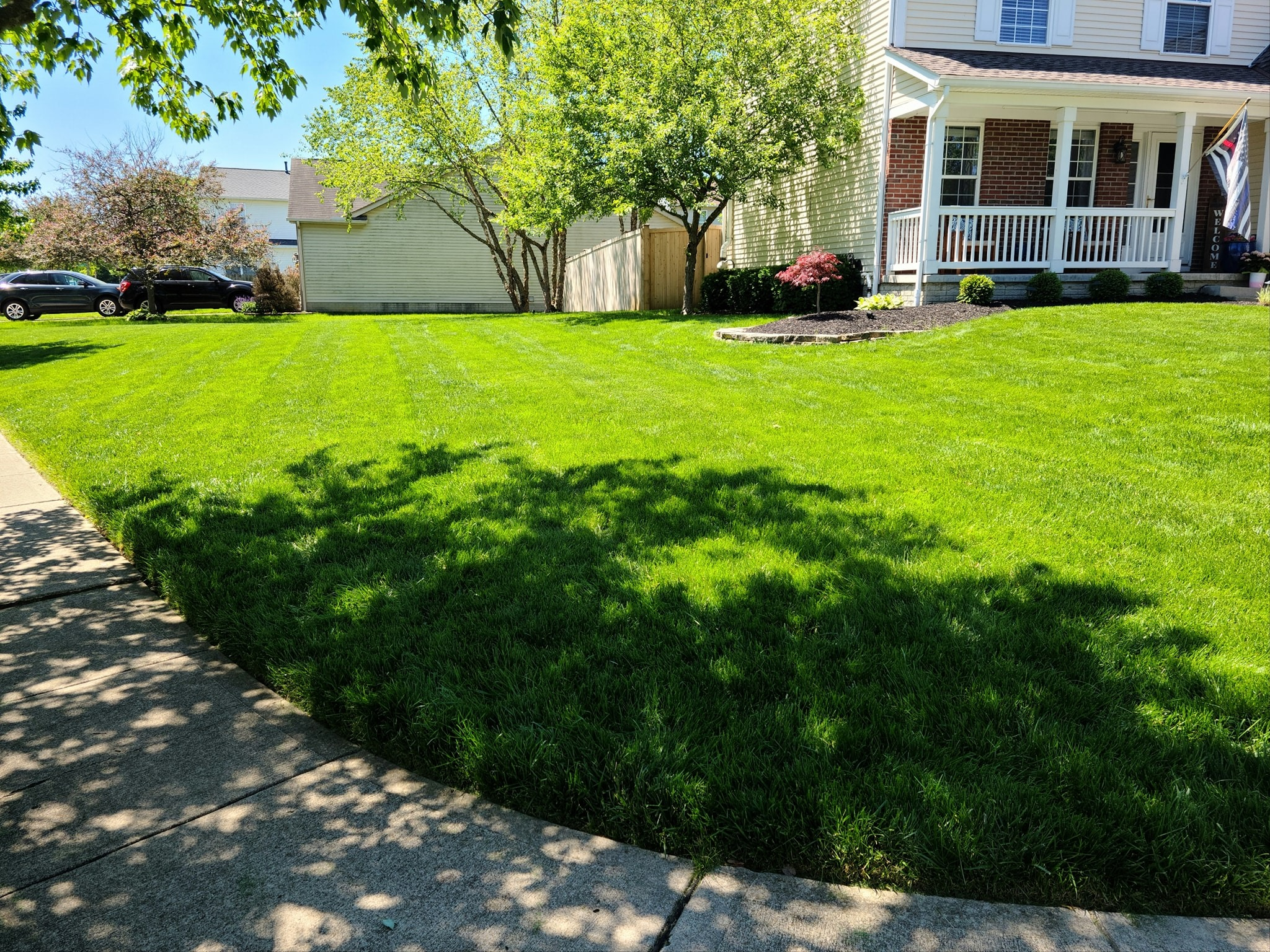 Professional Lawn Care Project 1