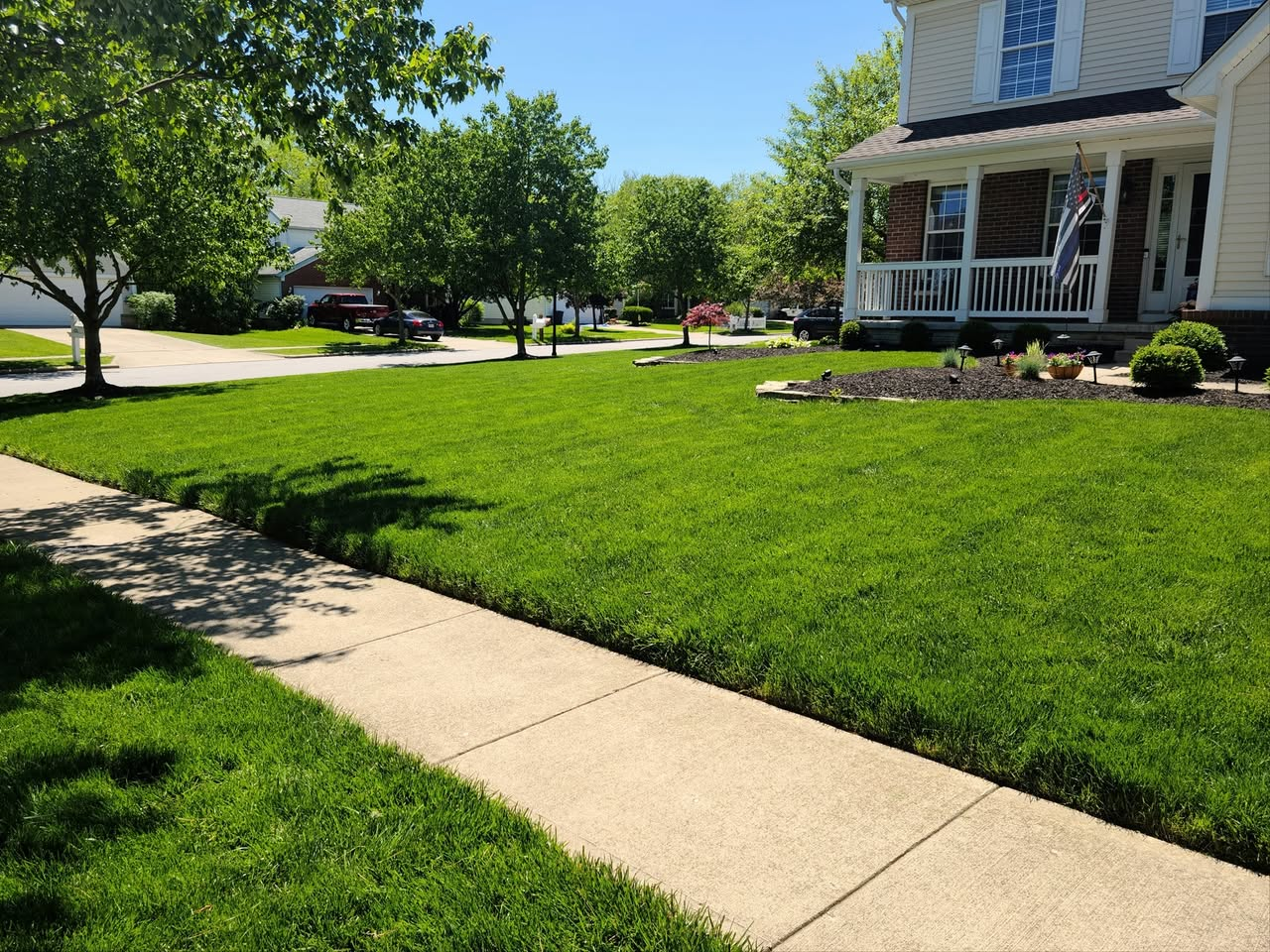 Professional Lawn Care Project 2